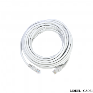 Lan Cable		
	CA031 PATCH CORD UTP CAT5E 10.0M