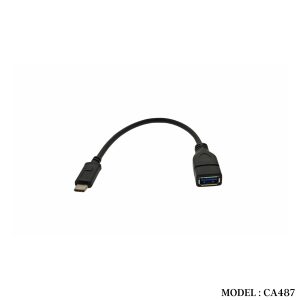 Cable		
	CA487 USB 3.1 TYPE C TO USB 3.0 AF CABLE 0.2METER