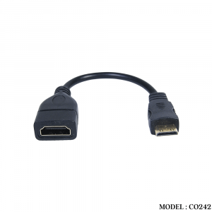 Converter		
	CO242 MINI HDMI M TO HDMI F CONVERSION CABLE